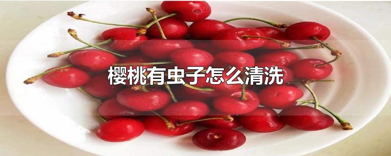 樱桃有虫子怎么清洗-最新樱桃有虫子怎么清洗整理解答