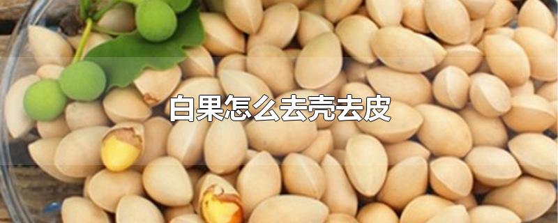 白果怎么去壳去皮-最新白果怎么去壳去皮整理解答
