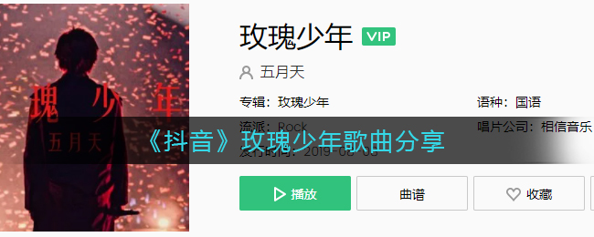 《抖音》玫瑰少年歌曲分享