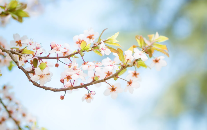 结婚纪念日幽默段子精选有哪些-最新结婚纪念日幽默段子精选121条推荐