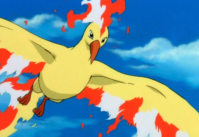 《宝可梦》来源与生态：能浴火重生的火焰鸟与它的不死传奇！