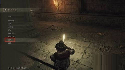 艾尔登法环战灰怎么使用-艾尔登法环战灰使用攻略