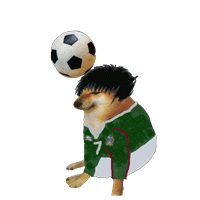 愉快的周一 柴犬动态表情包来了