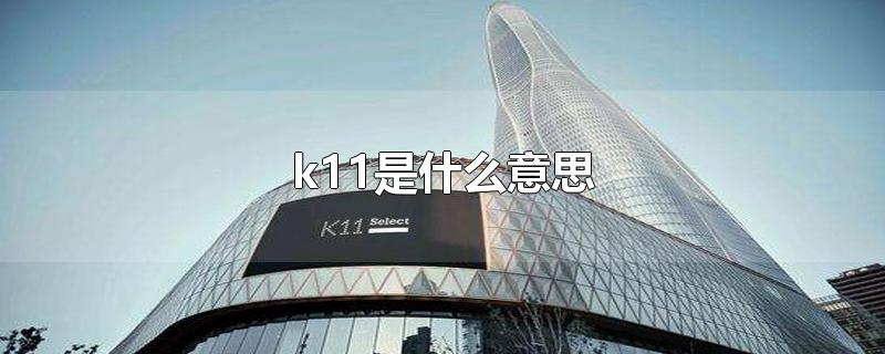 k11是什么意思-最新k11是什么意思整理解答