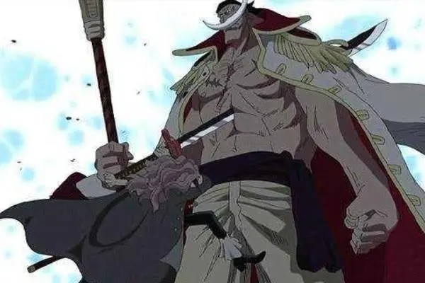 海贼王，改变战局的小人物，如果没有他们，海贼王完结