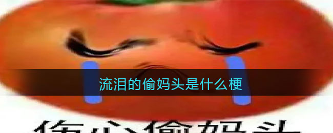 流泪的偷妈头是什么梗/意思-抖音热梗含义出处分享