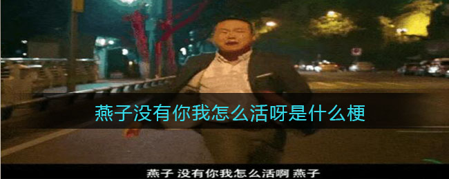 燕子没有你我怎么活呀是什么梗/意思-抖音热梗含义出处分享