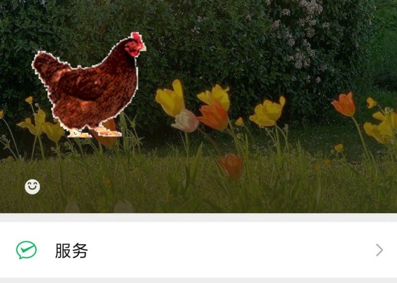 微信状态怎么养猪-微信状态养宠物设置教程