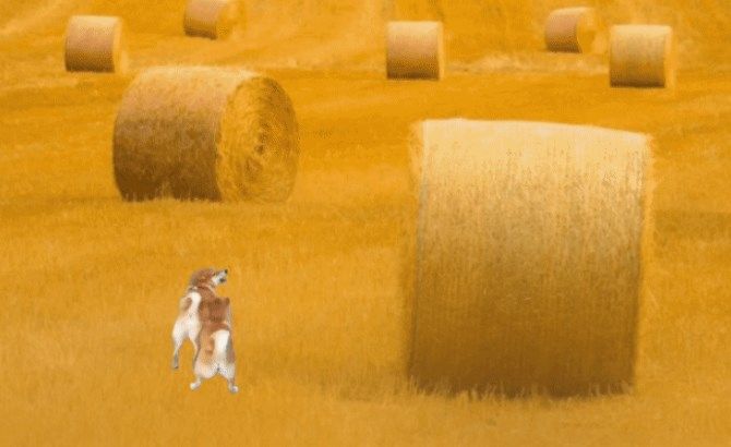 微信农场怎么设置-微信状态农场设置方法