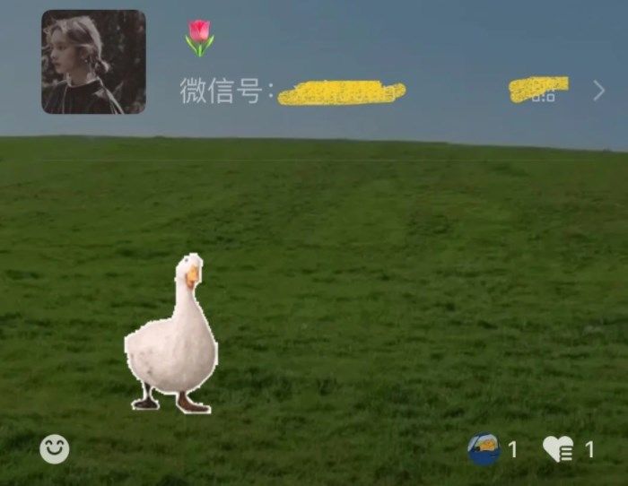 微信农场背景图怎么弄-微信农场养大鹅设置教程