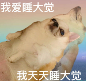 《抖音》我的五大美德是什么梗 《抖音》我的五大美德是什么梗