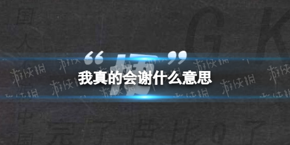我真的会谢什么意思-我真的会谢的网络意思