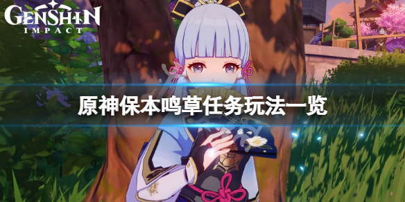 原神保本鸣草任务怎么玩-原神保本鸣草任务玩法一览