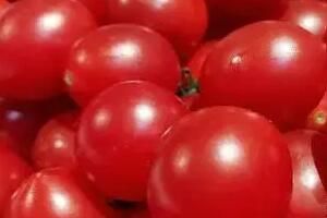 沈阳阳性圣女果已致11人感染源头在哪 沈阳阳性圣女果已致11人感染源头在哪