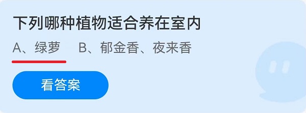 下列哪种植物适合养在室内?
