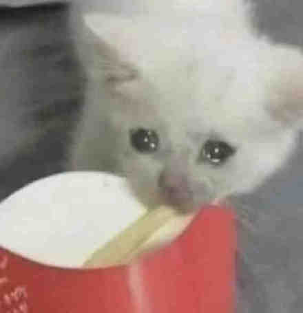 流泪猫猫头表情包来了 你心生怜悯之情了吗