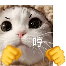 刘畊宏女孩表情包-刘畊宏女孩文案