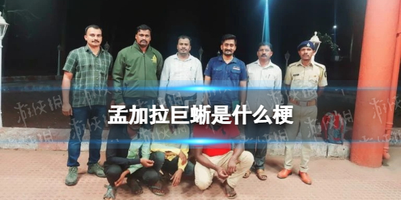 孟加拉巨蜥是什么梗-印度孟加拉巨蜥事件一览