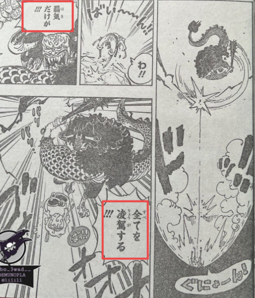 海贼王1047话：凯多否定恶魔果实价值，掌握霸气才能称王