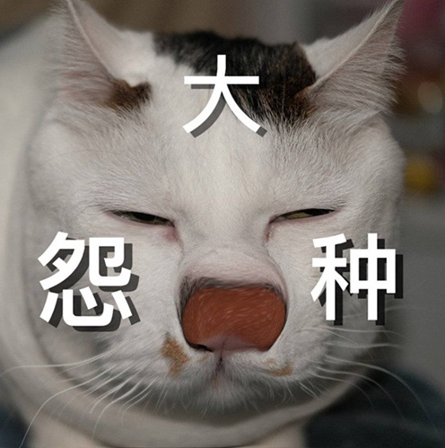 《抖音》冤种姐妹是什么梗 《抖音》冤种姐妹是什么梗