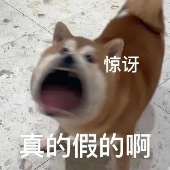 周日变工作日 开心最重要周五不远了