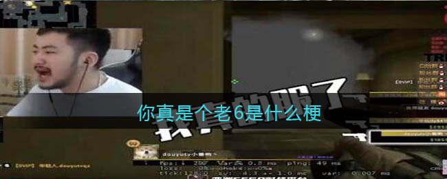 你真是个老6什么梗-你真是个老6什么意思