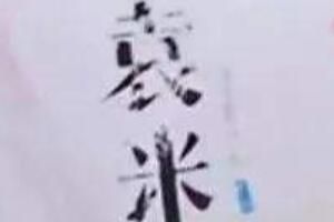 袁米是什么品牌袁米和袁隆平有关系吗