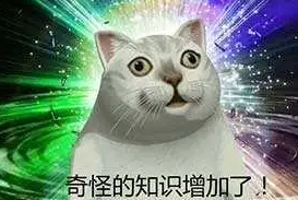 里巴是什么意思,里巴梗介绍 里巴是什么意思,里巴梗介绍