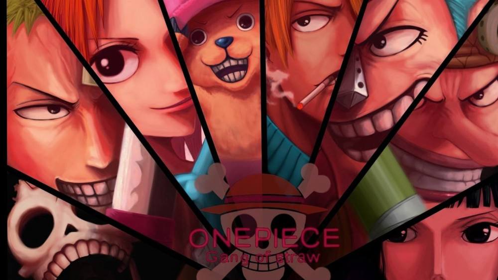 海贼王第十个上船的人！