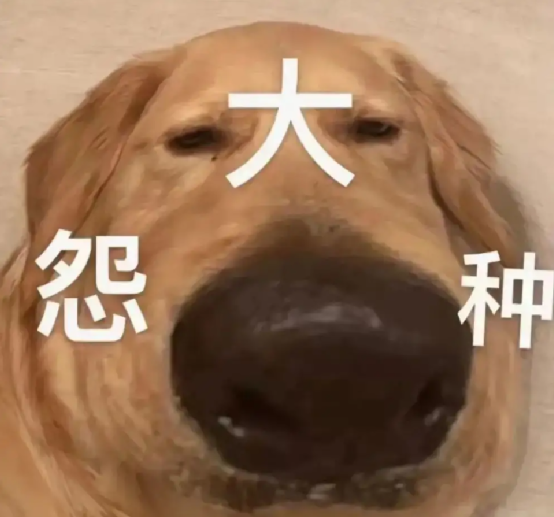 实体大冤种！盘点那些你买了之后价格雪崩的Switch卡带！