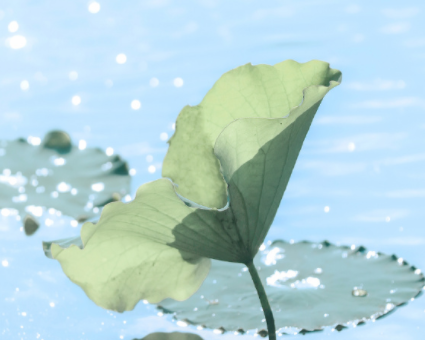 关于在夏季相逢的文案-夏日邂逅的好听文案