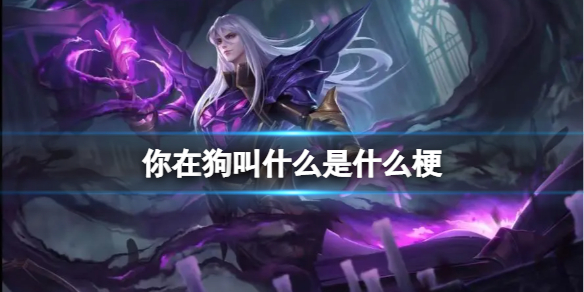 你在狗叫什么是什么梗-你在狗叫什么梗介绍