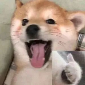 Knight被曝私生活混乱，女友微博骂小天却不闻不问，单纯人设崩塌