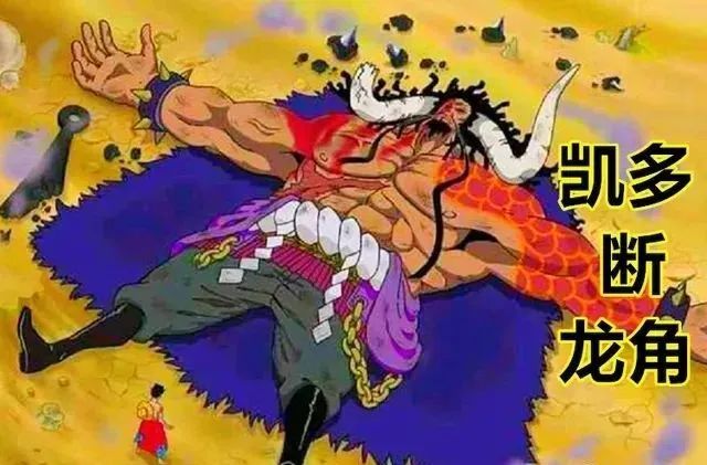 （第一次更新）海贼王1049话情报！凯多落败确定！