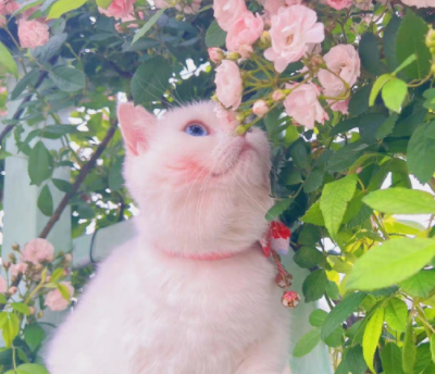 感受到女友爱意的幸福签名-男生充满爱意的幸福个性签名