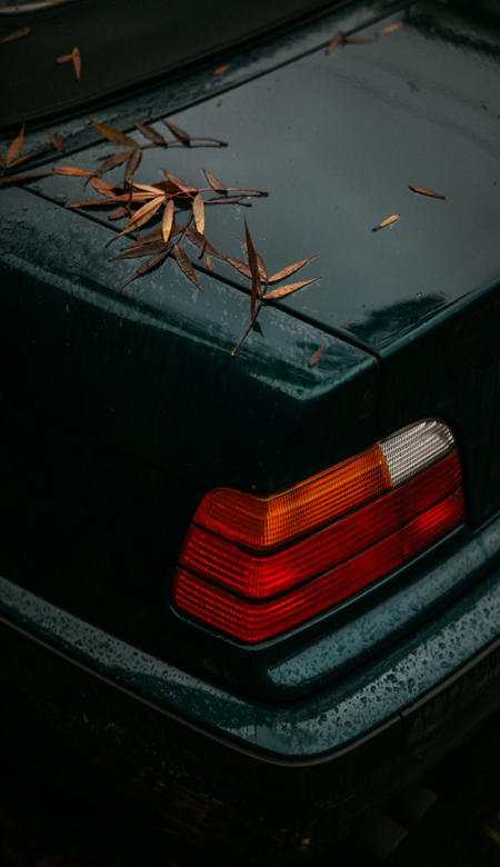 好看又很特色的高颜值手机壁纸-一些好看到炸裂的手机壁纸合集