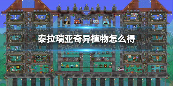 泰拉瑞亚奇异植物怎么得-泰拉瑞亚奇异植物获取方式介绍