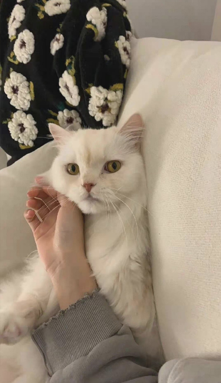 高级感的女生手机壁纸高清好看-ins气质高级感女生皮肤2022