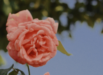 有关原神的唯美签名-适合原神的个性签名