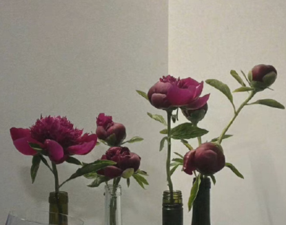 和爱人结婚四十周的幸福文案-跟爱人四十周年的纪恋日文案