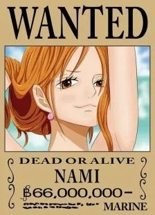 海贼王人物介绍娜美篇