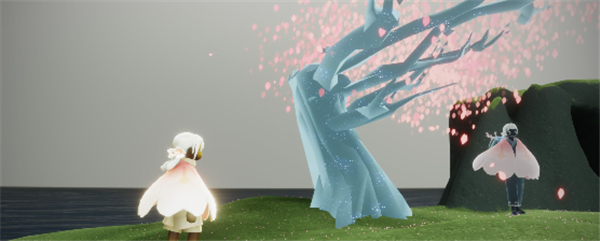 光遇花憩节赏花位置介绍-光遇花憩节