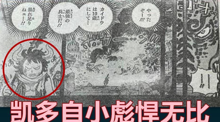 海贼王1049话，少年凯多很强，五老星本想培养凯多成为赤犬与黄猿