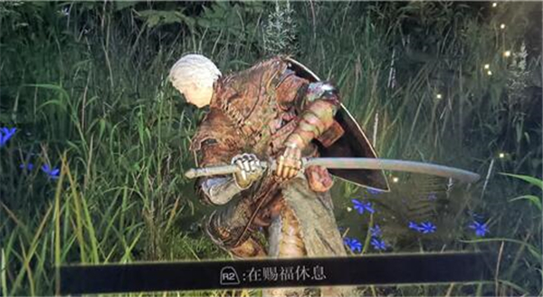 艾尔登法环名刀月隐怎么放剑气-艾尔登法环名刀月隐剑气释放方法