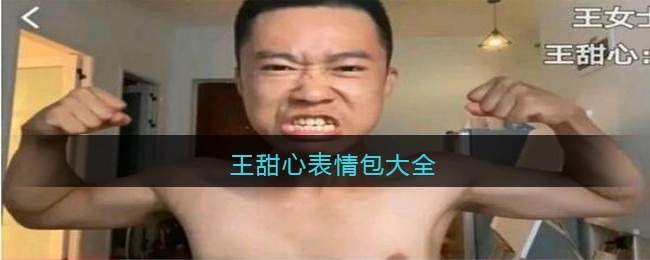 王甜心表情包大全-王甜心表情包图片下载