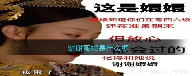 谢谢甄嬛是什么梗-谢谢甄嬛是什么意思