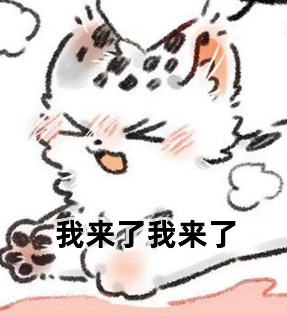 不知道什么表情包系列 一只叫樱桃的猫表情包来了