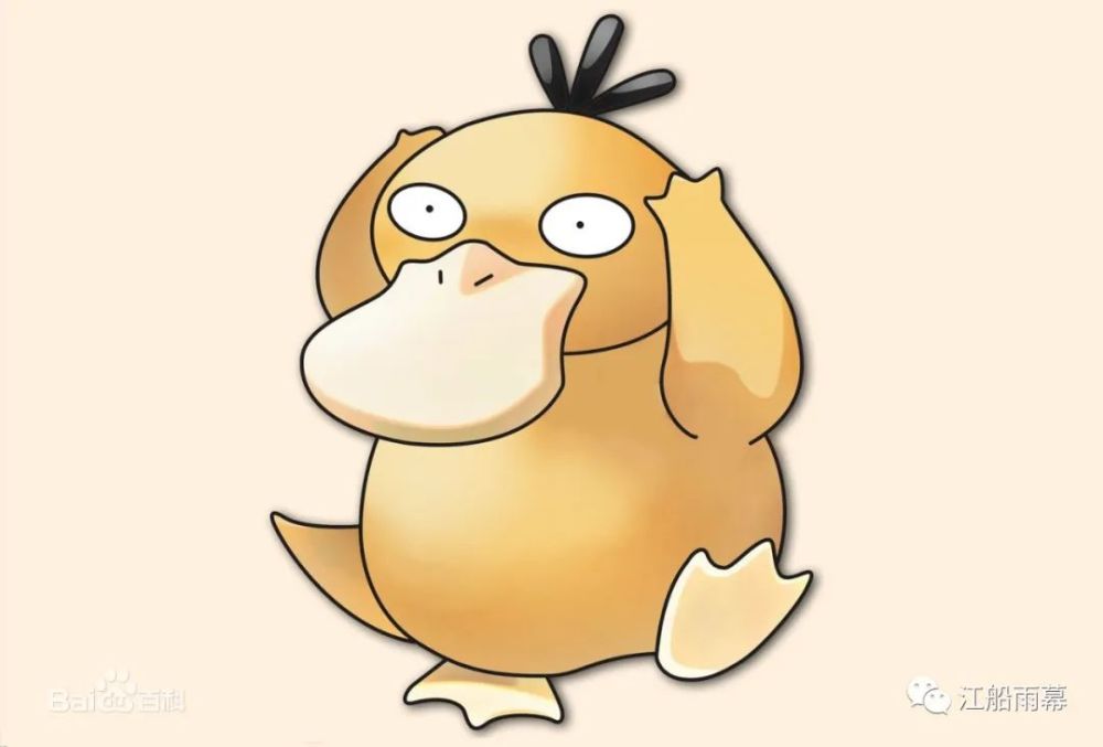 可达鸭：总有地面上的鸭鸭，敢于直面人类的调戏