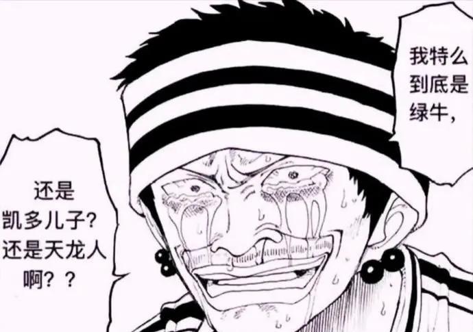 《海贼王》有哪些观众认可但实际不存在的设定，比如面子果实