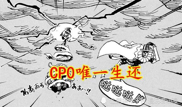 海贼王：完全失败的CP0，三大任务未完成，还损失二人